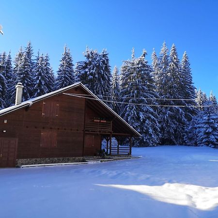 Casa De Vacanta Dintre Brazi Toplita  Bagian luar foto